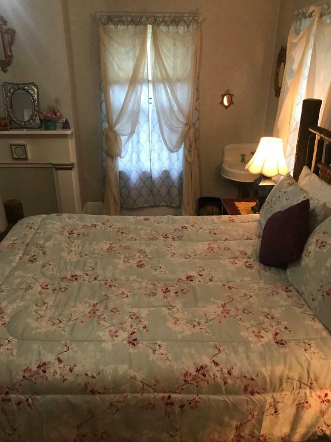 Bel'S Inn Bed And Breakfast Кінгстон Екстер'єр фото